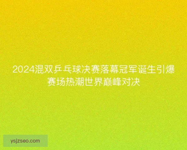 2024混双乒乓球决赛落幕冠军诞生引爆赛场热潮世界巅峰对决